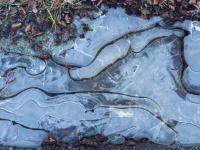 Geschwungene Eisstruktur in Pfütze am Wegrand